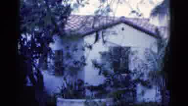 Florida USA-1975: Woman In Blue Dress With Large Hat Hiding Behind Tree In Front