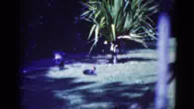 Florida USA (1975): Man In Bow Tie Talks To The Camera As Tropical Tree Sways In