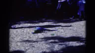 Florida USA (1975): Parakeet Rolling And Doing Tricks On Command On The Hot