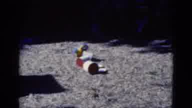 Florida USA (1975): Beautiful Tropical Bird Macaw Plays With Pots Outdoors On The