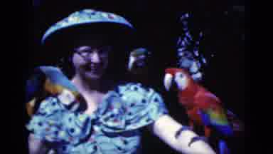 Florida USA (1975): Woman Wearing Blue Dress Displays Four Macaw Parrots On Arms