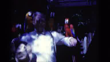 Florida USA (1975): Old Man In Dress Shirt Has Many Birds On His Head And Arms