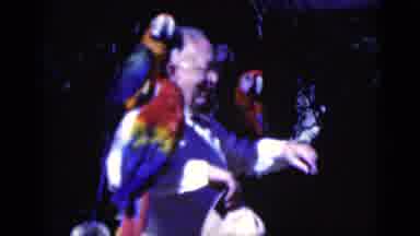 Florida USA (1975): Those Who Pass With Their Beauty Are Beautiful And Free Their
