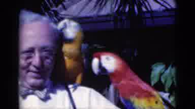 Florida USA (1975): Birds Of A Feather Flock Together On Old Man Shoulders