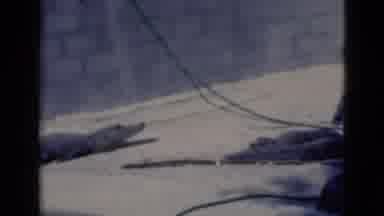 Florida USA (1975): Crocodiles Resting Ground Zoo