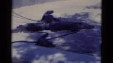 Florida USA (1975): A Large Group Of People Looking Down To See Three Crocodiles