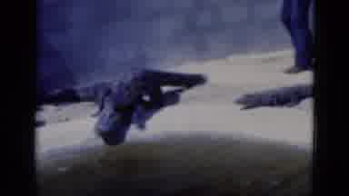 Florida USA (1975): Man Wrangles Alligators Or Crocodiles Into The Water With A