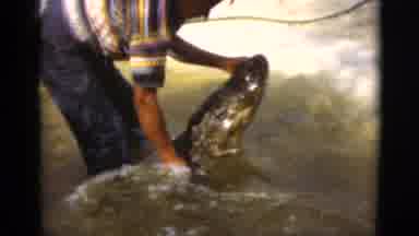 Florida USA (1975): Man Catches Crocodile In River And Brings It To Shore