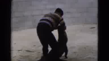 Florida USA (1975): The Man Was Catching The Crocodile To Take The Teeth