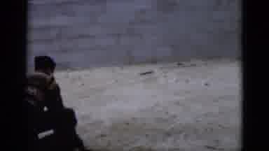 Florida USA (1975): Man Wrestling Ferocious Alligator As It Bares It Sharp Pointy