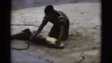 Florida USA (1975): People Animal Concrete Ground Rope Tied Wet Video Man