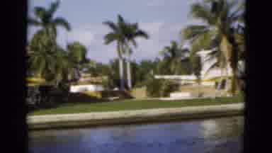 Florida USA (1975): Panorama Of A Coastline With Palm Trees And Greenery On A Nice
