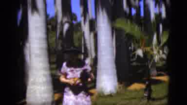 Florida USA (1975): Well Dressed Woman Walks Under Tall Trees With Green Leaves