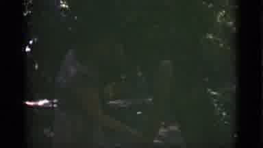 Florida USA (1975): Checking Out Nature