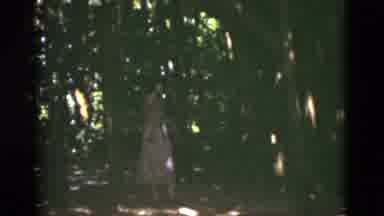 Florida USA (1975): A Man Shown First Then A Woman Shown Among Leaves