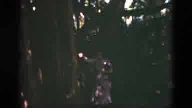 Florida USA (1975): Woman Wearing Pink Suit Stands Next To Tree On A Sunny Day