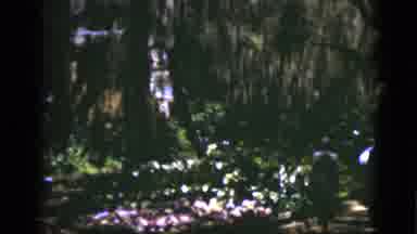 Florida USA (1975): A Couple Walking Around A Beautiful Garden With Flowers And A