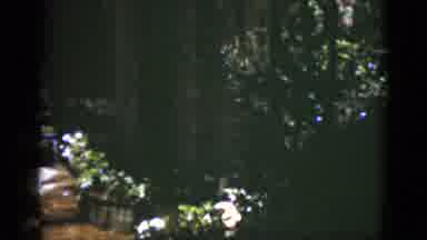 Florida USA (1975): A Scene Involving A Balcony That Has Flowers Below It