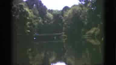 Florida USA (1951): Beautiful Lake Surrounded By Lush Vegetation With Many Species