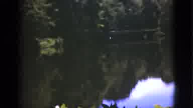 Florida USA (1951): Looking Out On Lake And Trees