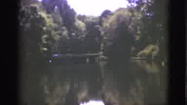 Florida USA (1951): The Forest By The Lake