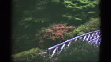 Florida USA (1951): A Heavily Forested Area Has A White Footbridge And A Pond With