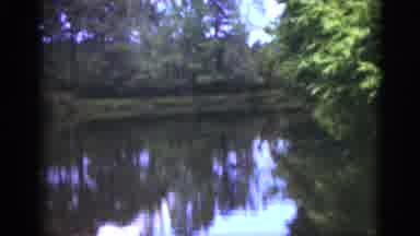 Florida USA (1951): A View Of A Lake Surrounded By Trees In Nature
