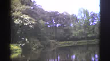 Florida USA (1951): Video Shows Off Gardens And Water Scene That Has Some Nice