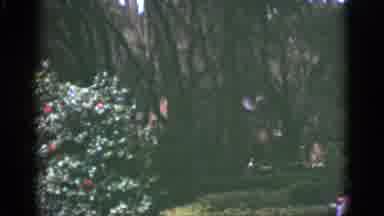 Florida USA (1951): The Girl Was Sitting In The Entrance Of The Garden And Seeing