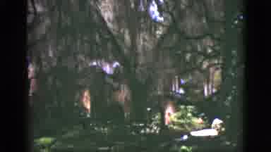 Florida USA (1951): Gorgeous Scenes Of An Amazing Backyard Scenery To See