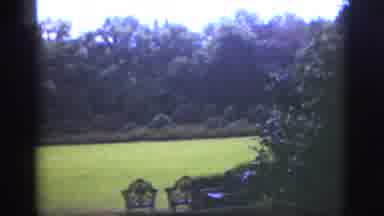 Florida USA (1951): Huge Tree Lined Perfectly Mowed Green Lawn With Iron Chairs To