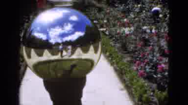 Florida USA (1951): Metallic Ball In A Garden Of Flowers Reflects A Man And A