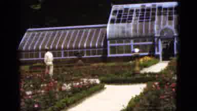 Florida USA (1951): In Garden So Many Plants Are There In That Plants So Many