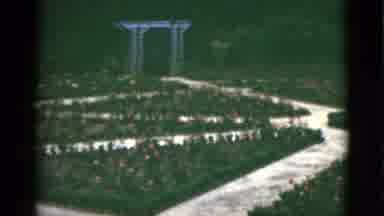 Florida USA (1951): Out In Wild Nature