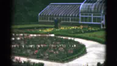 Florida USA (1951): The People Were Visiting The Flower Garden In The Morning And