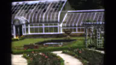 Florida USA (1951): Garden Video Shows A Green House And Well Maintained Landscape
