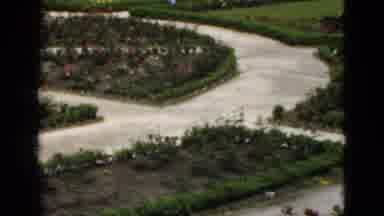 Florida USA (1951): A Garden Is Especially Maintained Very Nice It Look Like Very