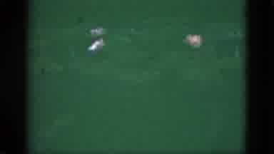 Florida USA (1951): So Many Lotus Are Blossoms On The Pool
