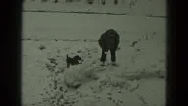West Germany (1951): Family Video - A Person Is Playing With Their Small Dog In