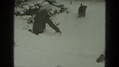 West Germany (1951): Woman And Adorable Black And Brown Pet Dog Outside Playing In