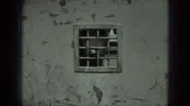 West Germany (1951): Stray And Caged Dogs