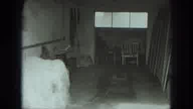 West Germany (1951): Dog In The Hallway