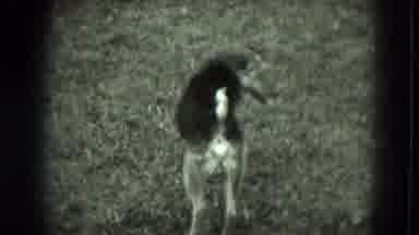 West Germany (1951): Woman Wearing White Shirt Throws Object To Dog On A Cloudy