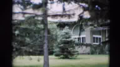 Paducah Kentucky USA (1951): Green Trees Grass In The Garden With A Beautiful View
