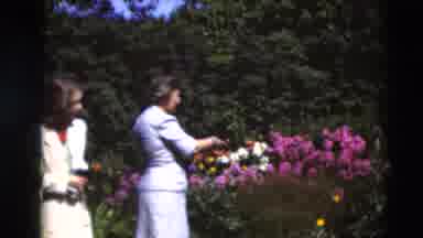 Paducah Kentucky USA (1951): Woman Picking Flower