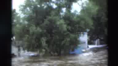 Paducah Kentucky USA (1951): Town Flooded With Crowd Gathered On A Small Area Of