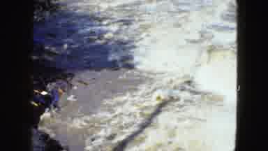 Cleveland Ohio (1951): Wooded Destruction Next To The Water