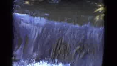 Cleveland Ohio-1951: Water Flowing Over A Dam Around Trees And Bushes