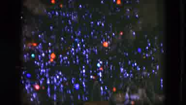 Cleveland Ohio (1951): Christmas Tree With Bulbs