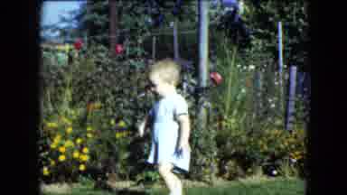 Cleveland Ohio (1951): Child Plays Outside His Home With Colorful Flowers Very